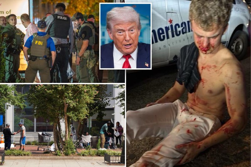 Trump takes control of DC police, deploying National Guard in historic capital crime crackdown — and warns NYC could be next