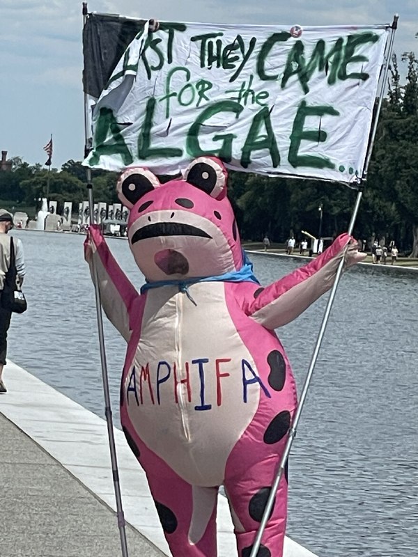 Here is another example of a crazy pro-algae (likely paid) protestor. The sign says, “First they came for the algae…” which is in reference to a famous post-WW2 statement about Germans not speaking out against the Nazis: “…Then they came for the Jews, and I did not speak out—because I was not a Jew. Then they came for me—and there was no one left to speak for me.”2026-06-22 22:04 UTCLink