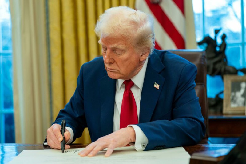Trump approves UFC Fight on White House South Lawn