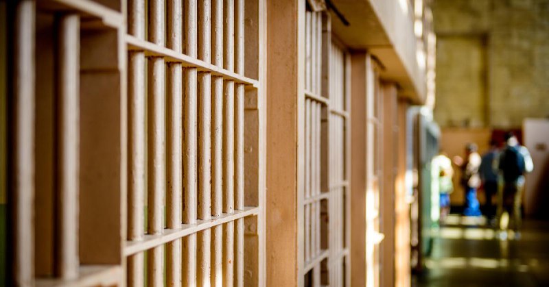 Four times as many illegals in NY prisons than their share of population
