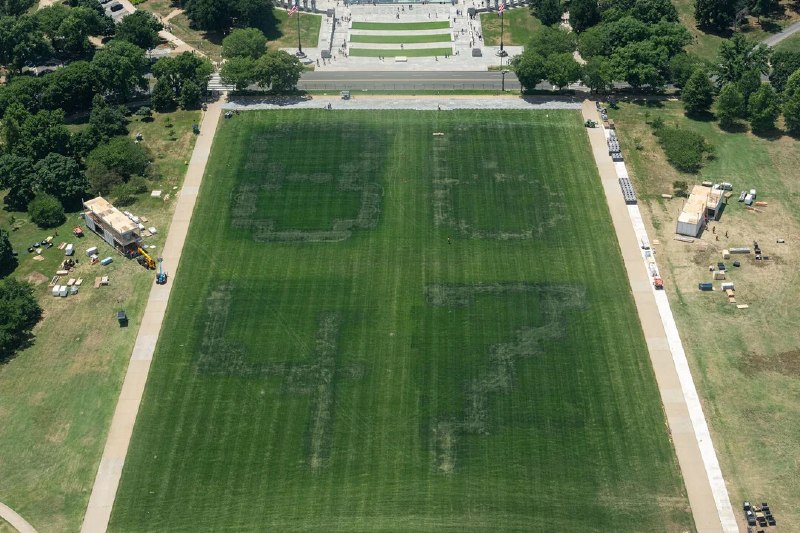 I disagree 100% with Jeanine Pirro, the U.S. Attorney for the District of Columbia, on the Reflecting Pool. I don’t know what she was thinking? To me, it was a pure case of VANDALISM, that included the grass, which had a big 86 47 emblazoned in giant letters on it, and other elements of the surrounding area. There may have been some contractor difficulty, but the major damage was caused by VANDALS! President DJT2026-08-01 16:32 UTCLink