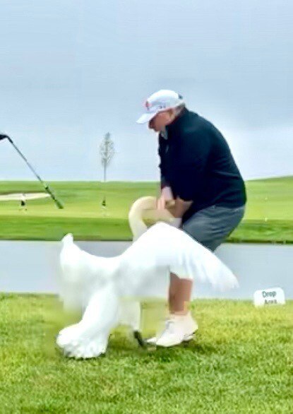 New Truth from @realdonaldtrump:I always said golf can be a dangerous sport! My friend being bit at Bedminster.View Truth