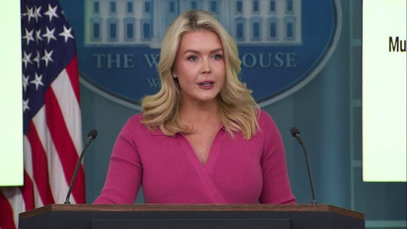 FIRST ON FOX: DHS points to ‘common sense’ reason for collapsing crime: ‘No surprise’