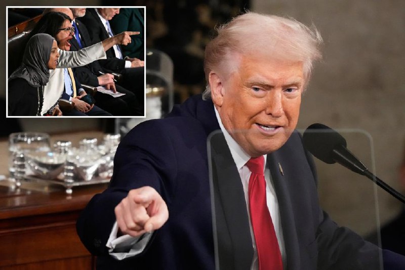 Trump's home-run State of the Union 2026 showed exactly how crazy the Democrats are