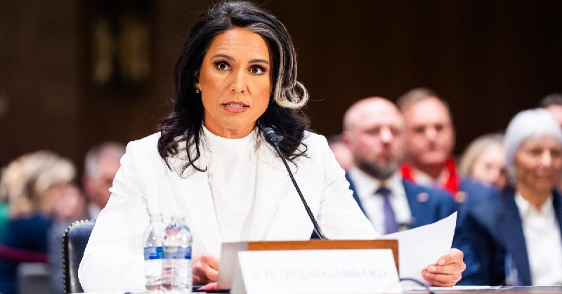 Inspector General confirms whistleblower complaint against Tulsi Gabbard ‘did not appear credible’